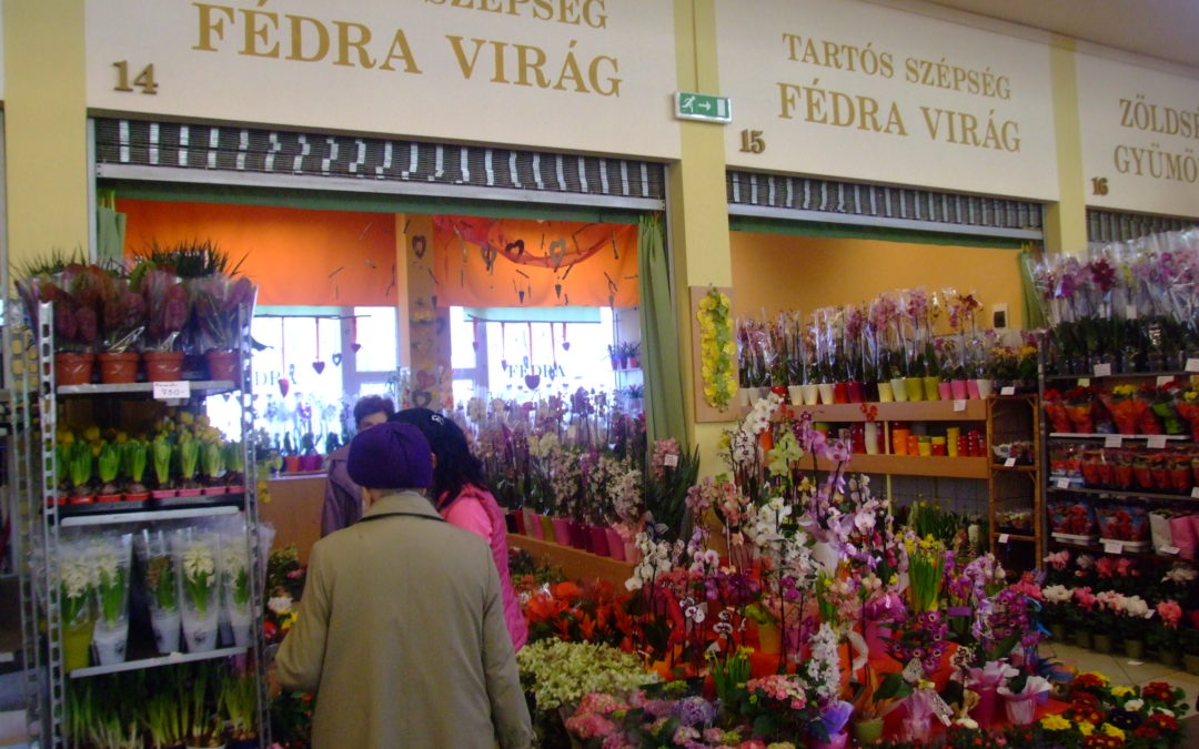 Fédra virág bolt